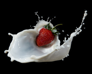 Wall Mural - red strawberry fruits falling into the milky splash on black background