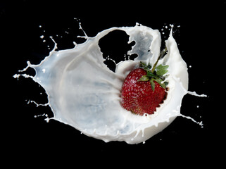 Wall Mural - red strawberry fruits falling into the milky splash on black background