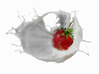 Wall Mural - red strawberry fruits falling into the milky splash on white background