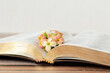 Open Holy Bible Book with golden pages and tender flowers on a wooden table with white background. The biblical concept of Christian growing in God Jesus Christ's love and faith. A close-up. 