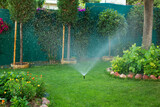 Fototapeta Uliczki - Automatic sprinkler watering in the garden