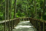 Fototapeta Na ścianę - wooden bridge in the jungle
