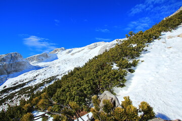 Sticker - Snowy mountains of Slovenian Alps