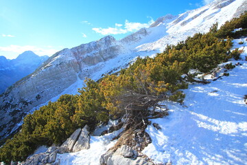 Sticker - Snowy mountains of Slovenian Alps