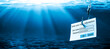 Login Information Attached To Large Hook Under Water With Sunlight - Phishing Concept