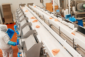 Chicken fillet production line . Factory for the production of food from meat.Modern poultry processing plant.Conveyor Belt Food.The meat factory.