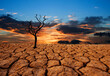 © Jinnawat - land with arid soil dying trees and cracked soil desert global warming background