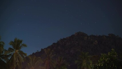 Time lapse stars on a night with clear dark sky in tropical palm tree jungle in Thailand