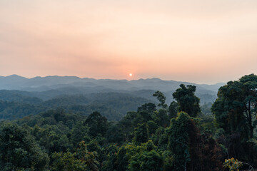 landscape, summer scenery on the mountain in the evening