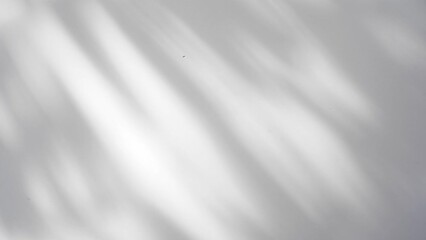 shadow of palm leave sway in the wind. on white background