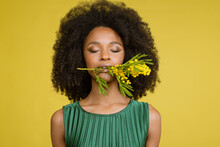 Young Woman With Eyes Closed Holding Mimosa Flower In Mouth Against Yellow Background