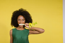Young Woman Biting Celery Against Yellow Background
