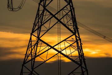 Silhouette of bird perched on high voltage post,High voltage tower sky sunset background.