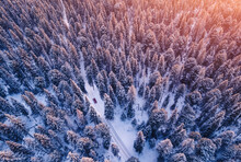Red Car Driving On Winding Road Through Snowy Forest, Sun Light. Concept Winter Travel, Aerial View