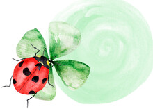 Red Beetle With Black Spots On Clover Leaf Watercolor Background. Template For Decorating Designs And Illustrations.
