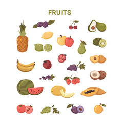 Fruits set, fresh food, isolated ripe tropical summer berries. Vector in flat style, lemon and pineapple, apples and avocado, grapes and coconut. Sliced melon and grapes, pomegranate and pear