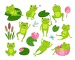 Cute green frogs. Nature and frogs, cartoon toad in pond. Funny animal in lotus, on leaves and eating insects. Neoteric childish froggy vector characters