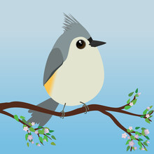 

A Very Cute Tufted Titmouse Bird In The Shape Of An Egg. Blue Gradient Background. The Bird Sits On A Branch With Blossoms And Leafs.
