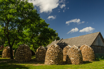 Canvas Print - Round stacks of split firewood in sunny summer day.