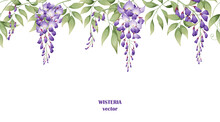 Seamless Border Of Purple Wisteria Flowers And Green Leaves On A White Background. Background Design. Design Of Posters, Postcards. Vector Illustration