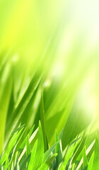 Fotomurales - Sunny spring background with green grass. Vertical summer banner with leaves on abstract greenery backdrop