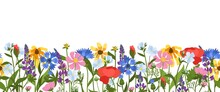 Wild Meadow Flowers Seamless Border. Beautiful Field Herbs, Decorative Blossom Plants, Spring Summer Botany Herbal Horizontal Background. Poppies, Dandelions And Sunflowers Vector Frame