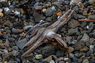 Piece of wood on pebbles