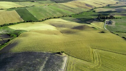 Wall Mural - Lavender meadows in open countryside. Amazing aerial view in summer season