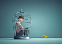 Man Inside A Bird Cage With A Yellow Bird Out.