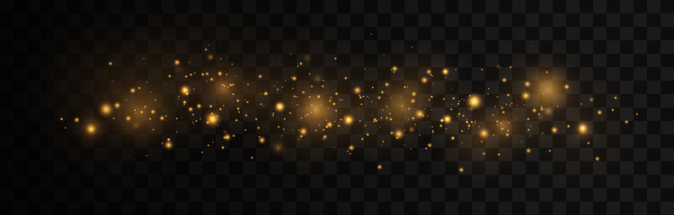 Wall Mural - Sparkling magical dust particles. The dust sparks and golden stars shine with special light on a black background. Christmas concept.