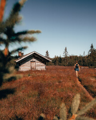 Sticker - Photo of a young woman walking towards a a wooden hut in nature