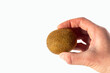 Hand holding ripe unpeeled kiwi fruit on white background, copy space. Kiwi is a natural dietary product, a source of vitamins and antioxidants. Healthy vegetarian food concept