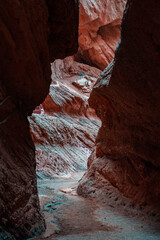 Wall Mural - Vertical shot of a narrow path in the canyon.