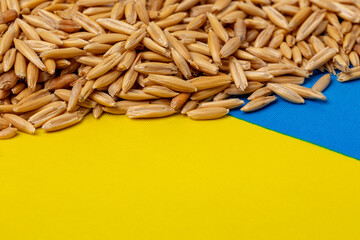 Wall Mural - Ukraine flag and oats. Cereal grain exports, production and farming concept.