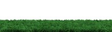 Panoramic Banner With Grass On White Background