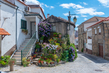 Wall Mural - Narrow street in the old town of Belmonte, Portugal