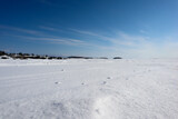 Fototapeta Tulipany - landscape with snow covered lake Ladoga under clear blue sky