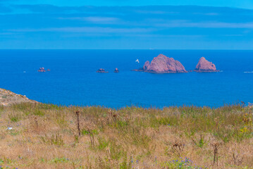 Sticker - Rough coast of Berlenga Grande island in Portugal