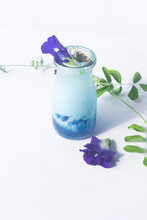 Butterfly Pea Blue Tea Latte On White Background, Served In A Jar. Topping With White Milk Froth And Fresh Butterfly Pea Petals