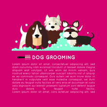 Banner With Grooming Dogs ( Basset Hound, Yorkshire Terrier, West Highland White Terrier) With The Inscription. Vector Modern Poster In Flat Style On A Purple Background.