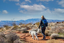 Woman Hiking With Her Dog In The Rocky Mountains. View From Behind Lots Of Scenic Natural Copy Space. Active, Fit Female Lifestyle