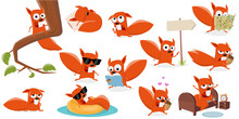 Funny Set Of A Cartoon Squirrel In Various Situations