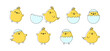 Easter chick vector icon, cartoon chicken baby and egg, cute little bird, yellow funny animal set isolated on white background. Simple drawing illustration