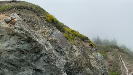 Wall Mural - panning video ocean side fog mist seashore cliffs foggy morning waves