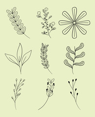 Poster - decorative leaves and flowers set