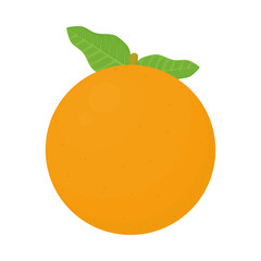 Wall Mural - orange fruit icon