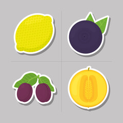 Sticker - fruits icon set