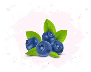 Wall Mural - Set of few blueberries fruit vector illustration with green leaves