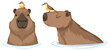Set of different capybara in cartoon style