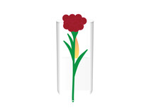Memorial Candle Behind Large Dam Hamaccabim (blood Of The Maccabees) Flower On White Background
